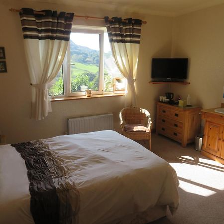 Heulwen Guest House Dolgellau Dış mekan fotoğraf