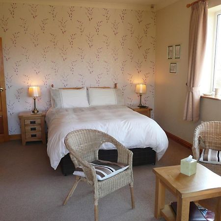 Heulwen Guest House Dolgellau Dış mekan fotoğraf