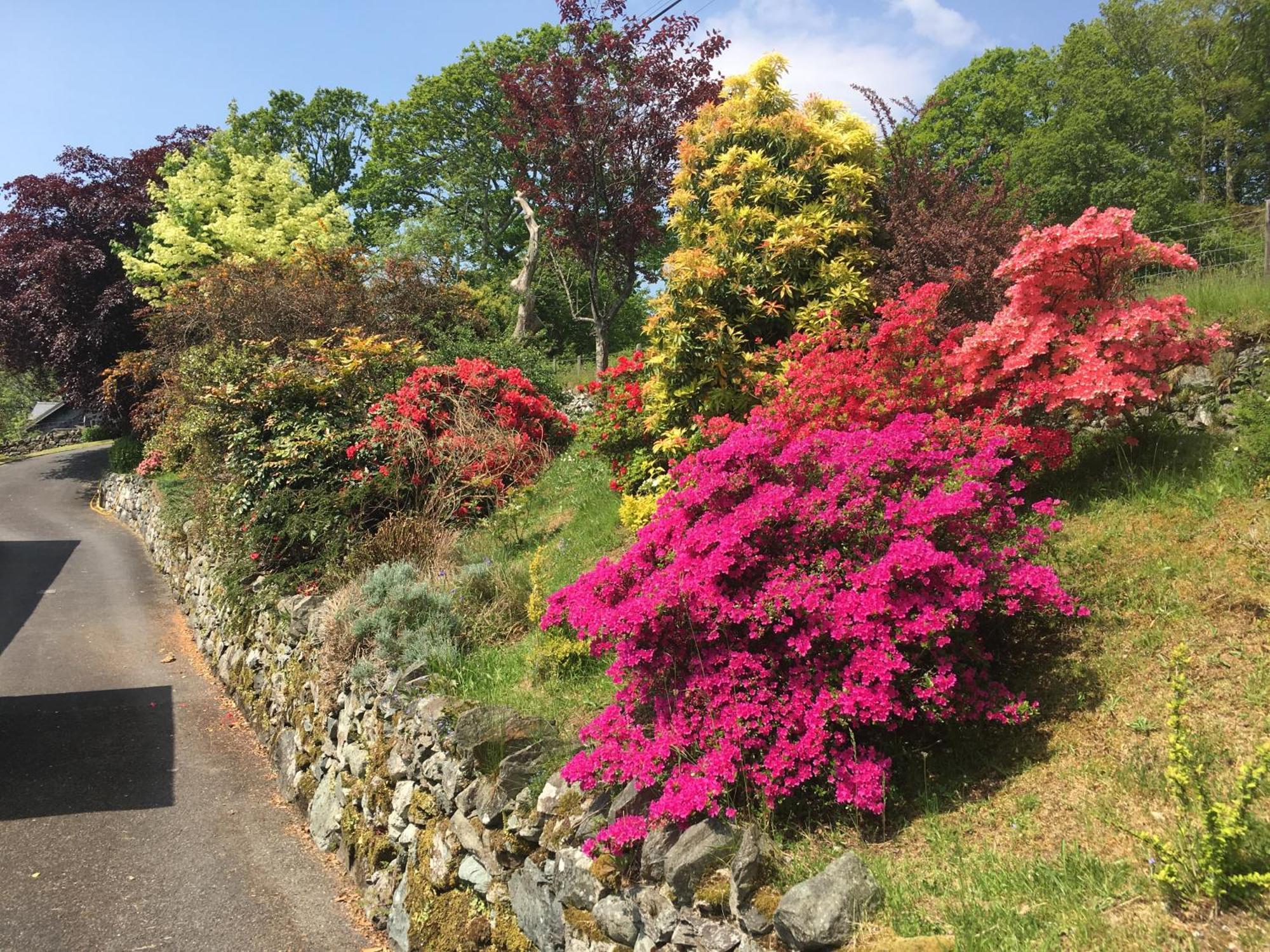 Heulwen Guest House Dolgellau Dış mekan fotoğraf