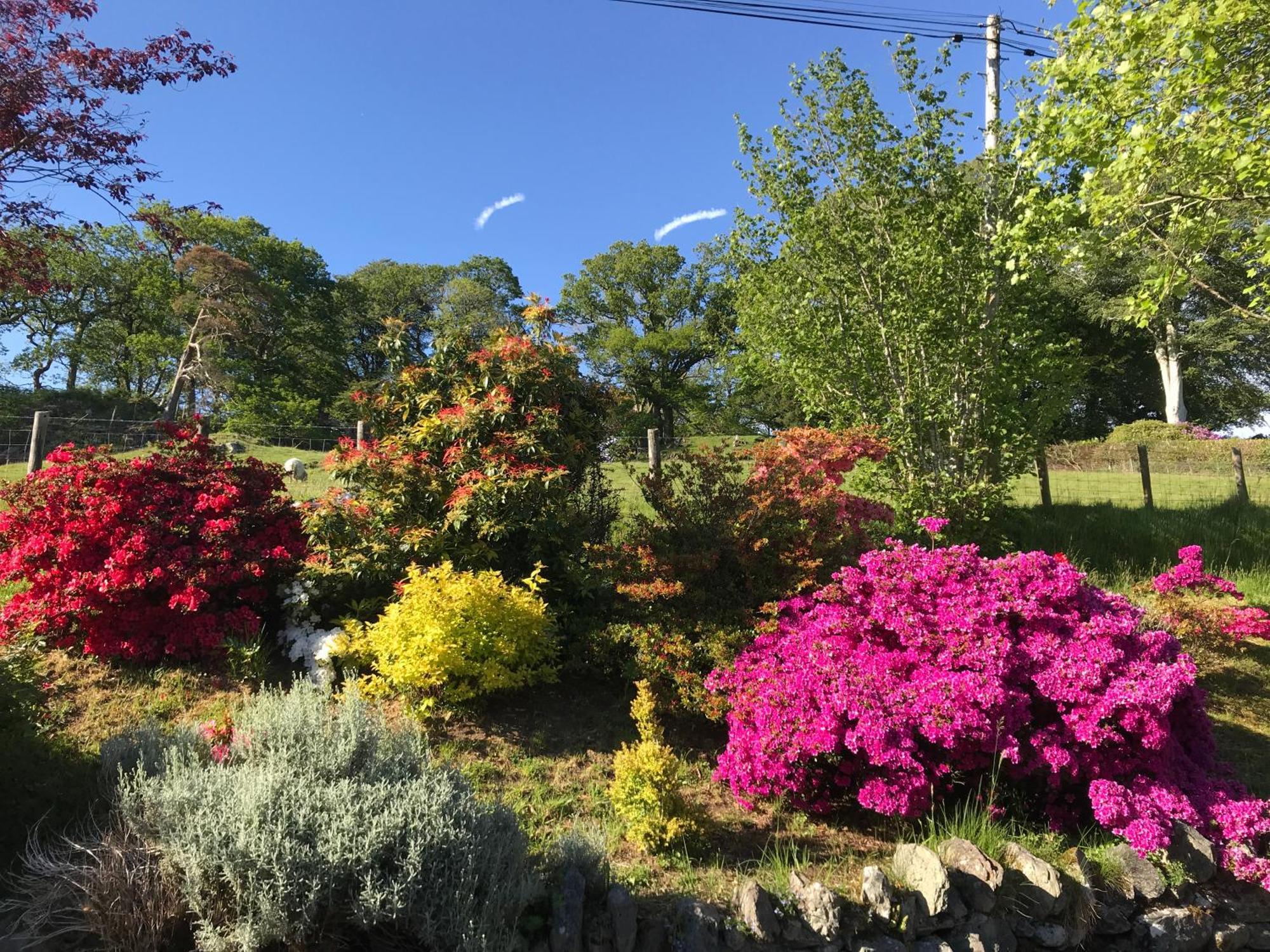 Heulwen Guest House Dolgellau Dış mekan fotoğraf