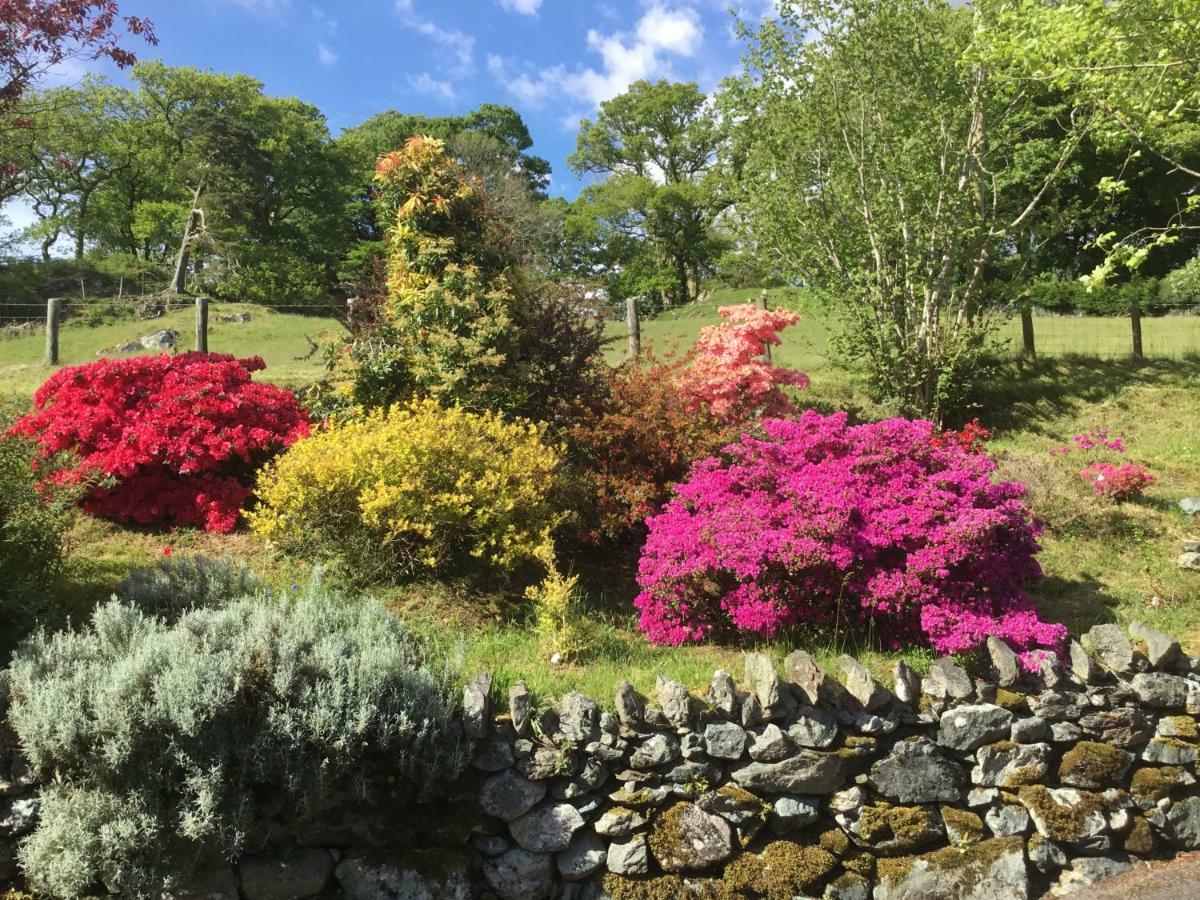 Heulwen Guest House Dolgellau Dış mekan fotoğraf
